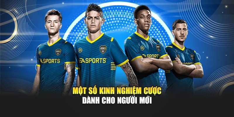 Một số kinh nghiệm cược dành cho người mới